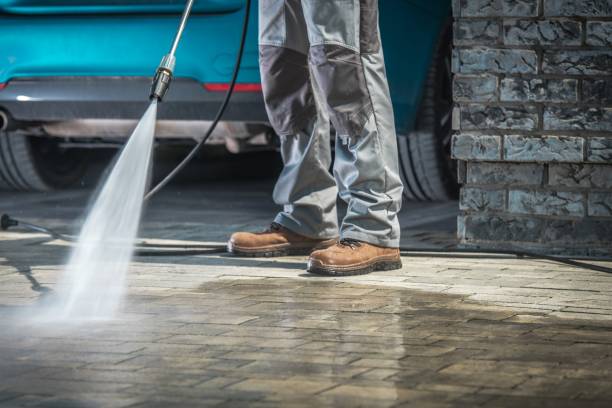 Best Animal Enclosure Cleaning  in Crystal Lawns, IL