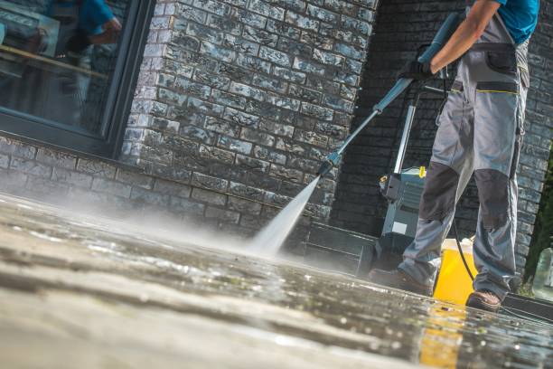 Best Driveway Pressure Washing  in Crystal Lawns, IL