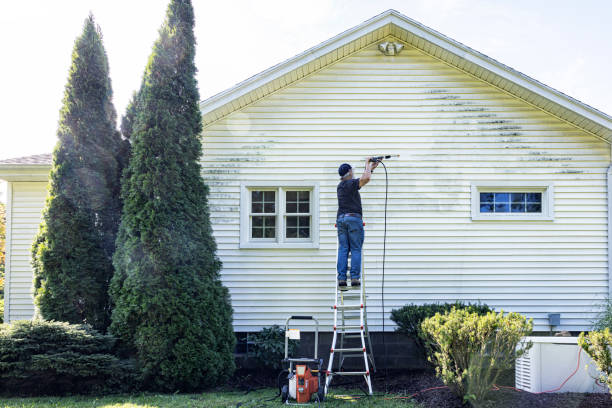 Spring Cleaning in Crystal Lawns, IL